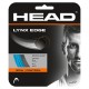 HEAD LYNX EDGE 12M