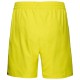 SHORT HEAD CLUB JAUNE