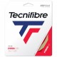 Tecnifibre Duramix 12M