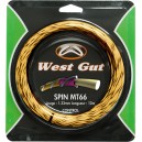 WEST GUT MT66 SPIN