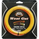 WEST GUT MT22 HYBRIDE EXOTIC