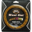 WEST GUT MT25 TIGRE 