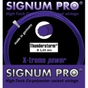  Signum Pro thunderstorm 12M
